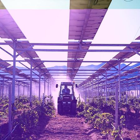 מלון Tresserre Domaine De Nidoleres מראה חיצוני תמונה