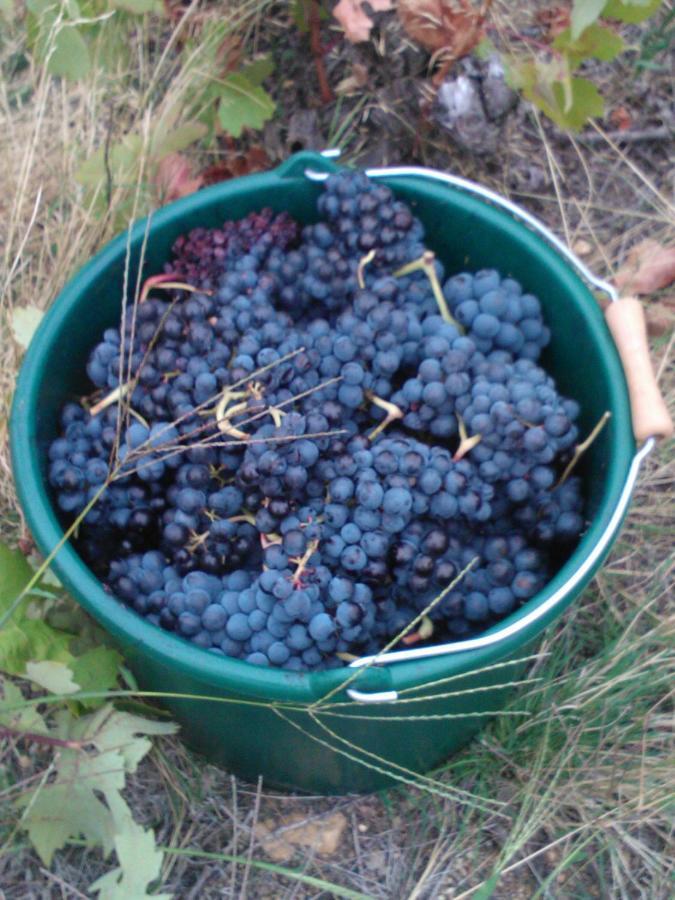 מלון Tresserre Domaine De Nidoleres מראה חיצוני תמונה